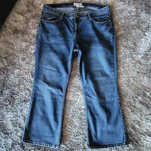 Maurices Jeans - 20 Short